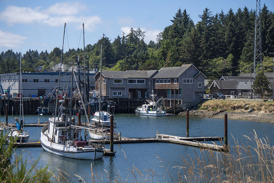 Charleston Marine Life Center